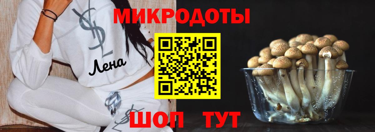 Галлюциногенные грибы MAGIC MUSHROOMS Качканар