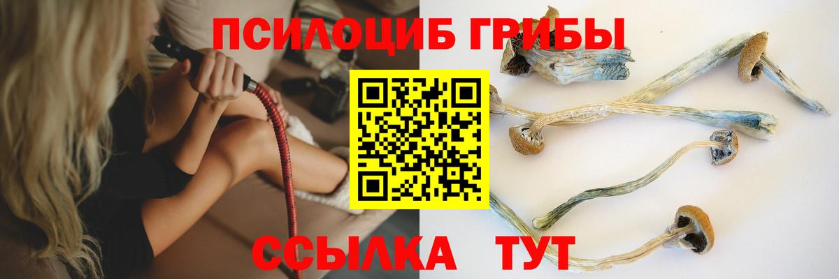 как найти наркотики  Псилоцибиновые грибы Psilocybe  Вход с VPN  Галлюциногенные грибы мухоморы  Качканар 